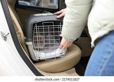 Woman Closing Pet Carrier With Cat In Car, Closeup