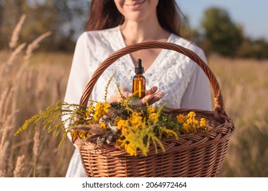 A woman collecting herbs, essential oil, bottle. Herbal medicine - concept.