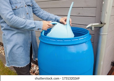 Woman collecting a rain water from the barrel to water plants, ecological garden watering 