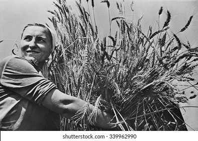 Woman Collective Farmer With Newly Harvested Wheat. Ca. 1935-40. Near Krasnodar, USSR,