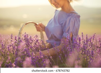 A woman collects lavender
