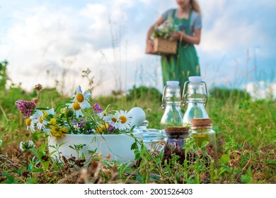 The woman collects medicinal herbs. Selective focus. Nature. - Shutterstock ID 2001526403