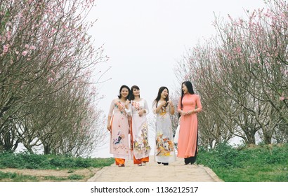The woman in colorful traditional dress goes in the peach blossom garden
very beautiful, on the occasion of the traditional New Year's Day in the capital Ha Noi - Viet Nam.date 02/02/2018
