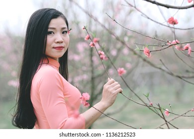 The woman in colorful traditional dress goes in the peach blossom garden
very beautiful, on the occasion of the traditional New Year's Day in the capital Ha Noi - Viet Nam.date 02/02/2018