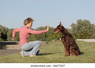 Woman Commands Her Dog To Sit Or Stay. Dog Coach At Work.