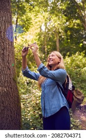 Woman In Countryside Hiking Along Path Through Forest Using Map App On Mobile Phone To Navigate