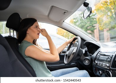 Woman Covering Her Nose From Bad Smell Inside The Car