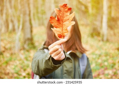 Woman covers her face with dry yellow oak leaf in autumn forest