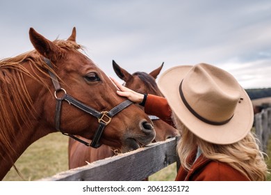 Woman with cowboy hat stroking her thoroughbred horse at ranch. Cowgirl in animal farm. Friendship between people and horse - Powered by Shutterstock