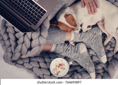 Woman In Cozy Home Clothes Relaxing At Home With Sleeping Dog Jack Russel Terrier, Drinking Cacao, Using Laptop, Top View. Comfy Lifestyle.