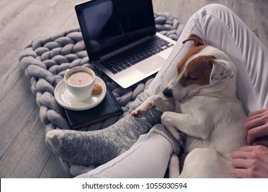 Woman In Cozy Home Wear Relaxing At Home ,drinking Cacao, Using Laptop. Soft, Comfy Lifestyle.