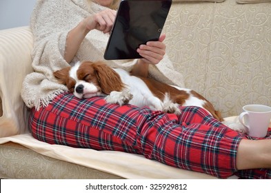 Woman in cozy home wear relaxing on sofa with a sleeping cavalier dog on her lap, holding tablet and reading