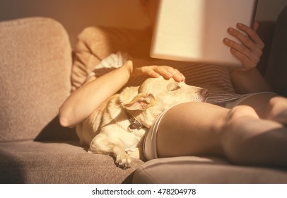 Woman In Cozy Home Wear Relaxing On Sofa With A Sleeping Dog On Her Lap, Holding Tablet And Reading