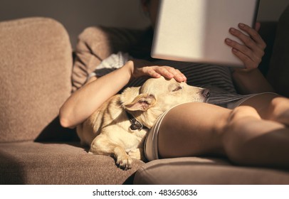 Woman In Cozy Home Wear Relaxing On Sofa With A Sleeping Dog On Her Lap, Holding Tablet And Reading