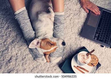 Woman in cozy home wear relaxing at home with sleeping dog Jack Russel terrier, drinking cacao, using laptop, top view. Soft, comfy lifestyle. - Powered by Shutterstock