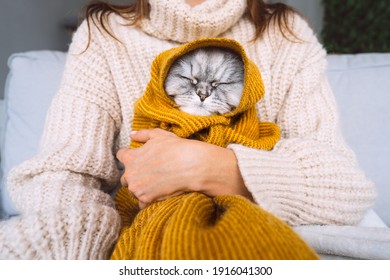 Woman In Cozy Sweater With Cute Cat In Plaid. Cat Warming Under A Soft Blanket. Cozy Domestic Lifestyle