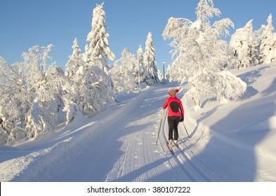 Woman Cross Country Skiing In Lapland Finland