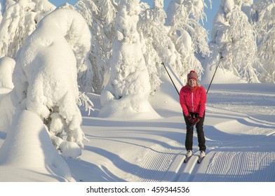 Woman Cross Country Skiing In Lapland Finland