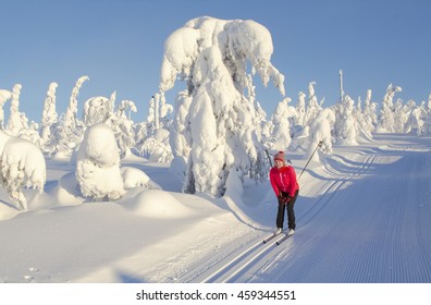 Woman Cross Country Skiing In Lapland Finland