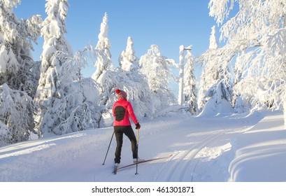 Woman Cross Country Skiing In Lapland Finland