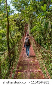 Woman Crossing A Canopy Suspension Bridge In Costa Rica