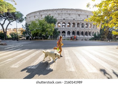 Woman crossing street with her dog in front of Coliseum in Rome. Street view with the most popular italian landmark