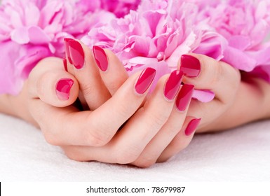 Woman Cupped Hands With Manicure Holding A Pink Flower