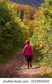 Woman With Curly Hair, Nature Photographer, Hiking In The Mountain Forests