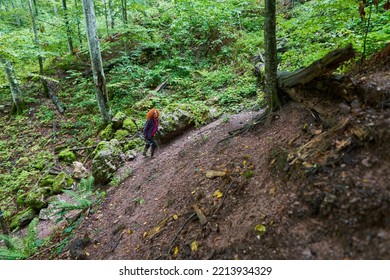 Woman With Curly Hair, Nature Photographer, Hiking In The Mountain Forests