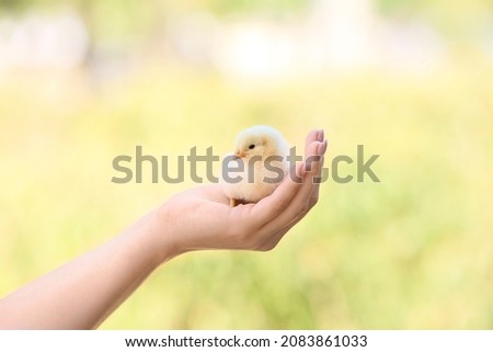 Woman with cute chick outdoors