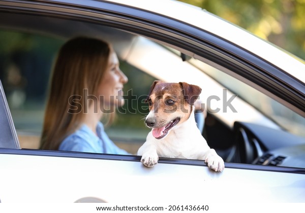 Woman with cute dog\
traveling by car