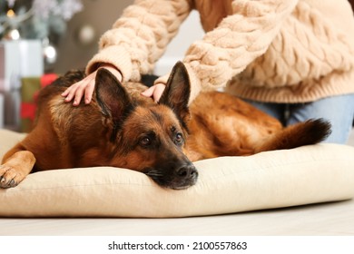 Woman with cute German Shepherd dog at home on Christmas eve - Powered by Shutterstock