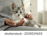 Woman with cute kitten at home, closeup