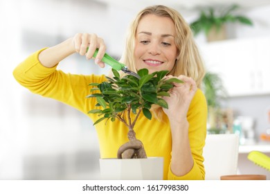 A Woman Is Cutting A Bonsai