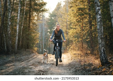 Woman cycling with a dog in the forest. Young woman riding bicycle together with her beagle dog pet running nearby. Traveling with a dog - Powered by Shutterstock