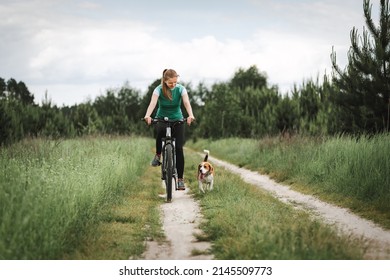 Woman cycling with a dog. Young woman riding bicycle together with her beagle dog pet running nearby. Traveling with a dog