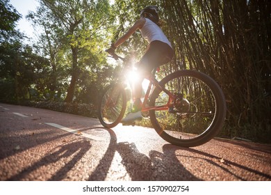 Woman cycling on bike path at park on sunny day