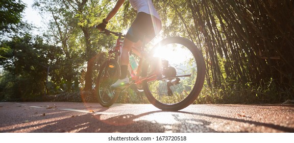 Woman Cycling On Bike Path At Sunrise Park