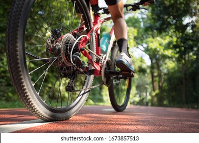 Woman cycling on bike path at park on sunny day - Powered by Shutterstock