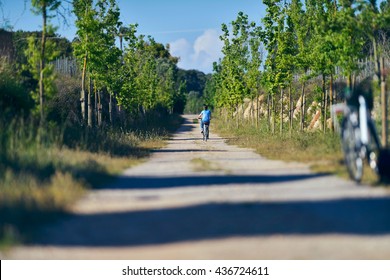 Woman Cycling On Path Of Old Train Track. Bicis Verdes. Mallorca. Spain. 