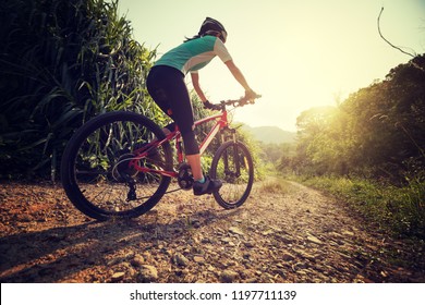  Woman cyclist riding mountain bike on rocky trail at sunny day