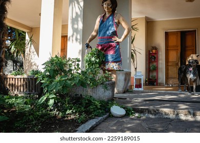 woman with dark hair and apron watering flowers in house garden - Shutterstock ID 2259189015