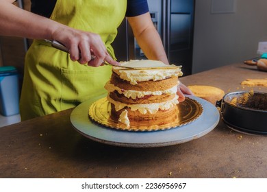 Woman decorating a delicious cake with icing cream. DIY, sequence, step by step, part of series. - Powered by Shutterstock
