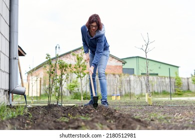 Woman Digging A Hole To Plant Seeds In A Vegetable Garden Using A Hoe