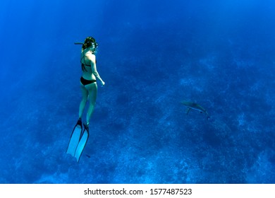 Woman Diving With Lemon Shark Underwater In French Polynesia