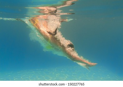 Woman Diving Underwater In The Swimming Pool