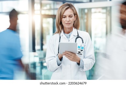 Woman Doctor, Digital Tablet Planning And Healthcare Working In Busy Hospital On Medical Research, Online Test Results And Technology. Mature, Focus And Expert Telehealth Surgeon Connect Clinic App