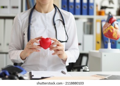 Woman Doctor Holding A Plastic Model Of The Heart