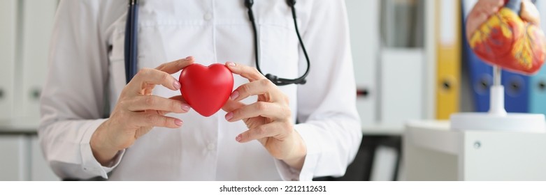 Woman Doctor Holding A Plastic Model Of The Heart