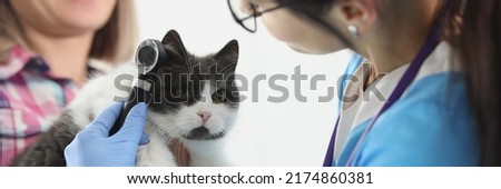 Woman doctor veterinarian checking cats ear with special equipment